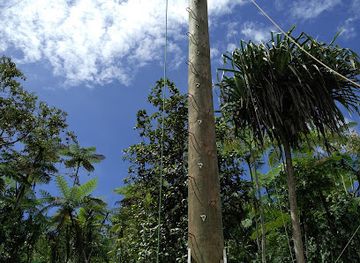 fiji/nadi/landmark/kila-world