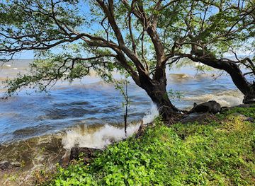 nicaragua/granada-plains/landmark/costa-lago-de-granada-cerca-del-guayabo