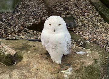 germany/essen/landmark/eulen-gehege-grugapark