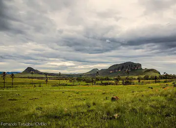 Parque Nacional da Chapada dos Veadeiros