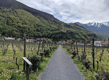 liechtenstein/furstensteig/landmark/cellars-of-the-prince-of-liechtenstein