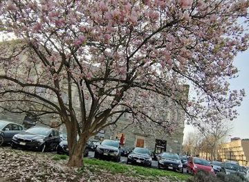 italy/florence/landmark/piazza-cesare-beccaria