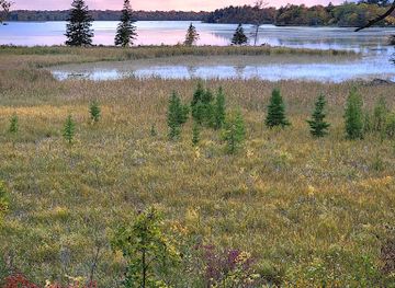 minnesota/otter-tail-lakes-country/landmark/tamarac-national-wildlife-refuge-visitor-center