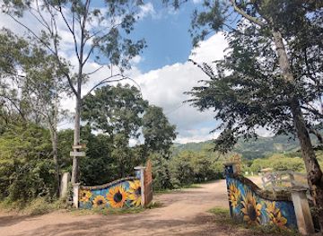 honduras/copan-ruinas/landmark/el-paseo-de-los-girasoles
