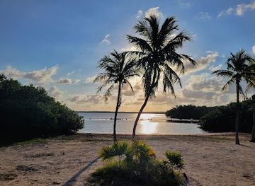 florida/marathon-key/landmark/john-pennekamp-coral-reef-state-park