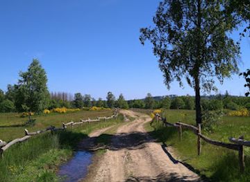 germany/eifel-national-park/landmark/heiden-und-magerrasen-bei-trupbach