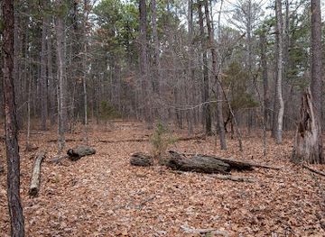 missouri/great-plains/landmark/devils-backbone-wilderness