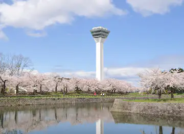 Goryōkaku Tower