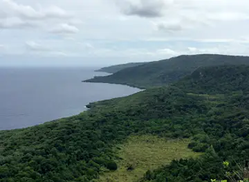 Margaret Knoll Lookout