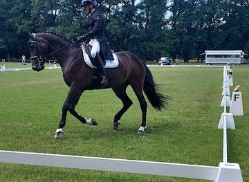 netherlands/utrechtse-heuvelrug/landmark/maarsbergen-horse-trials