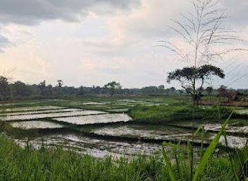 sri-lanka/sigiriya/landmark/avudangawa-lake-sigiriya-rock-view-point
