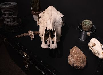 minnesota/saint-cloud/landmark/cream-city-tattoo