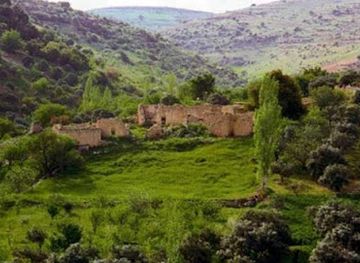 jordan/ajloun-forest-reserve/landmark/mahmiyat-fifa-al-tabiia