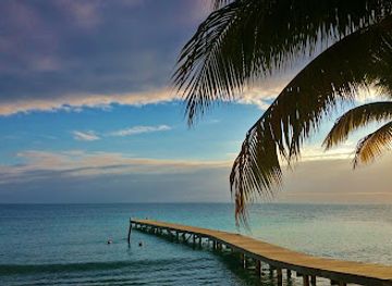 honduras/utila/landmark/brad-ryon-utila-real-estate-utila-realty-utila-s-most-experienced-realtor