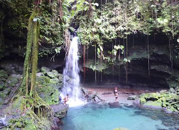 dominica/la-plaine/landmark/emerald-pool