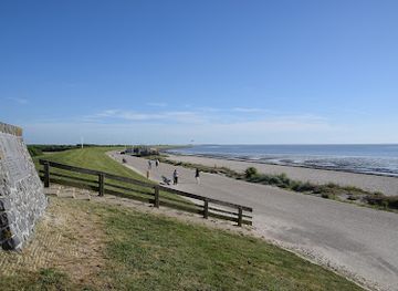netherlands/wadden-islands/landmark/de-man