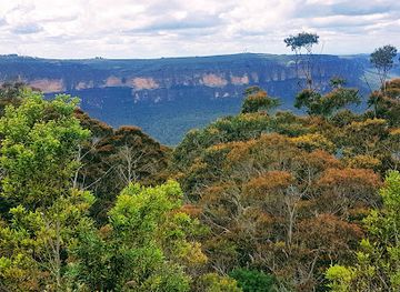 australia/blue-mountains-national-park/landmark/greater-blue-mountains-drive