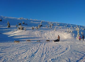 sweden/salen/landmark/storfjallsgraven