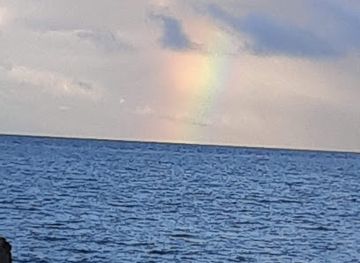 puerto-rico/vieques/landmark/rompeolas-mosquito-pier