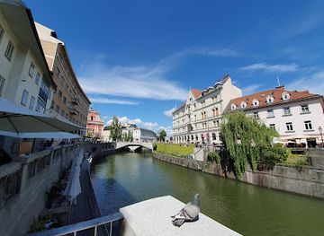 slovenia/central-slovenia/landmark/flea-market