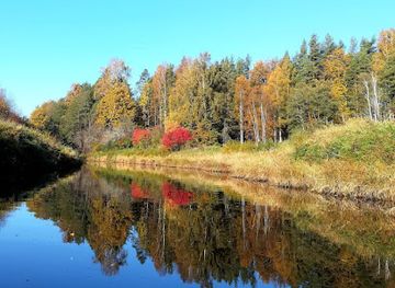 latvia/teici-nature-reserve/landmark/hiking-in-latvia