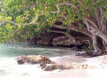 jamaica/negril/landmark/captain-jace-allen-glass-bottom-boat-tours-negril