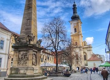 romania/salaj/landmark/the-national-museum-of-the-history-of-transylvania