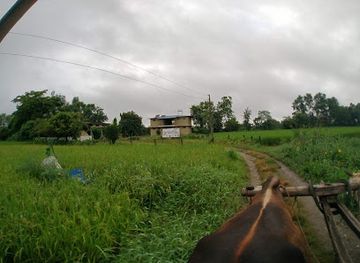 nepal/chitwan-valley/landmark/tharu-cultural-museum-research-center