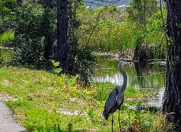 alabama/alabama-coastal-birding-trail/landmark/the-backcountry-trail