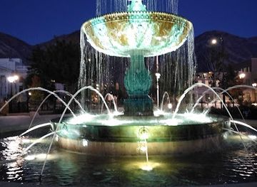utah/provo/landmark/historic-rare-elm-tree