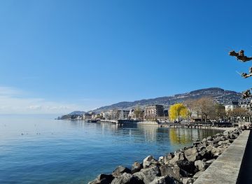 switzerland/vevey/landmark/jardin-du-rivage