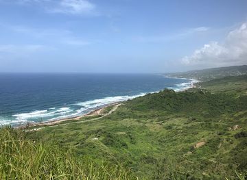 barbados/paynes-bay/landmark/sup-barbados-paddle-boarding