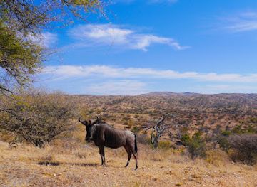 namibia/etosha-national-park/landmark/daan-viljoen-game-reserve