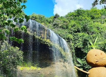 palau/ngeruangel/landmark/ngardmau-waterfalls
