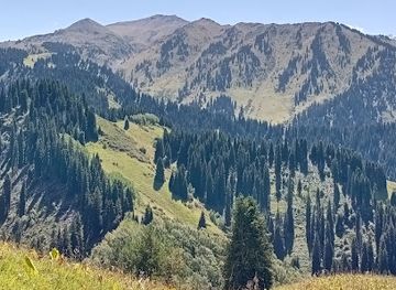 kazakhstan/southern-kazakhstan/landmark/kimasar-pass