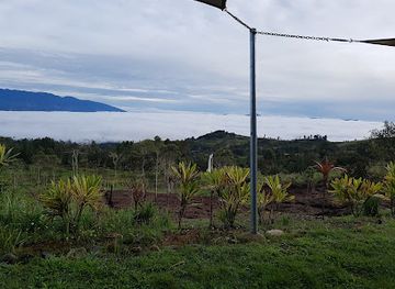 papua-new-guinea/mount-hagen/landmark/mount-hagen-market