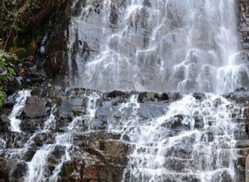 burundi/ruvubu-national-park/landmark/burundi-discovery-tours