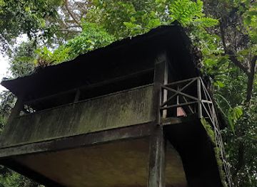 malaysia/taman-negara-national-park/landmark/tahan-hide