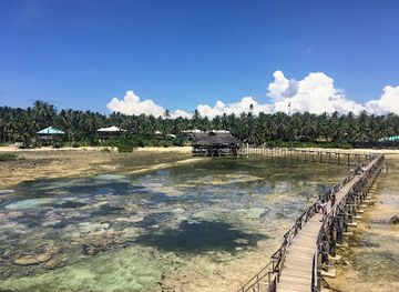 philippines/siargao/landmark/the-boardwalk-at-cloud-9-resort