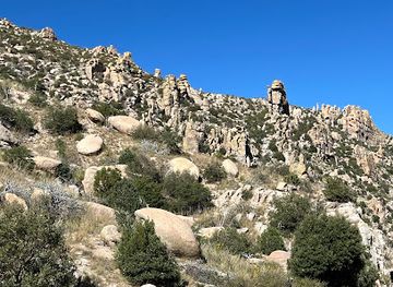 Coronado National Forest