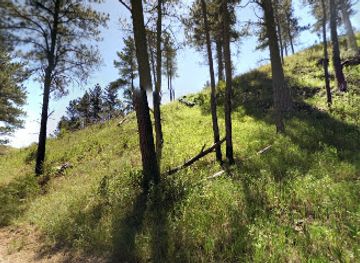 south-dakota/wind-cave-national-park/landmark/wind-cave-canyon