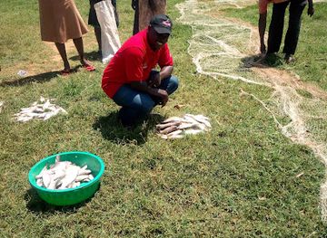 uganda/west-nile/landmark/lake-kyoga