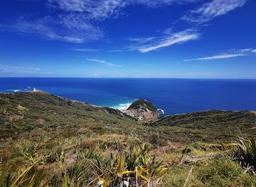 new-zealand/northland/landmark/giant-sand-dunes