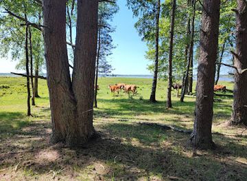latvia/teici-nature-reserve/landmark/nature-park-lake-engure