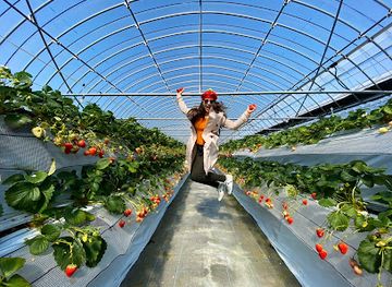 japan/chikugo/landmark/fruitelier