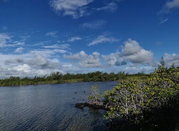 mauritius/black-river-gorges-national-park/landmark/bras-d-eau-national-park