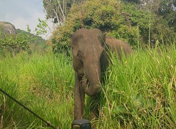 sri-lanka/minneriya-national-park/landmark/hurulu-eco-park
