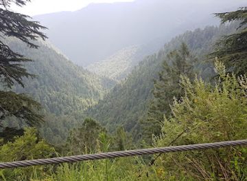 pakistan/ayubia-national-park/landmark/donga-gali-to-ayubia-track