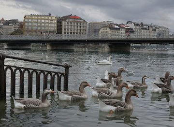 switzerland/geneva/landmark/geneva-lake-deck