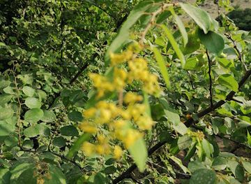 iraq/dohuk-governorate/landmark/gwndy-dwla